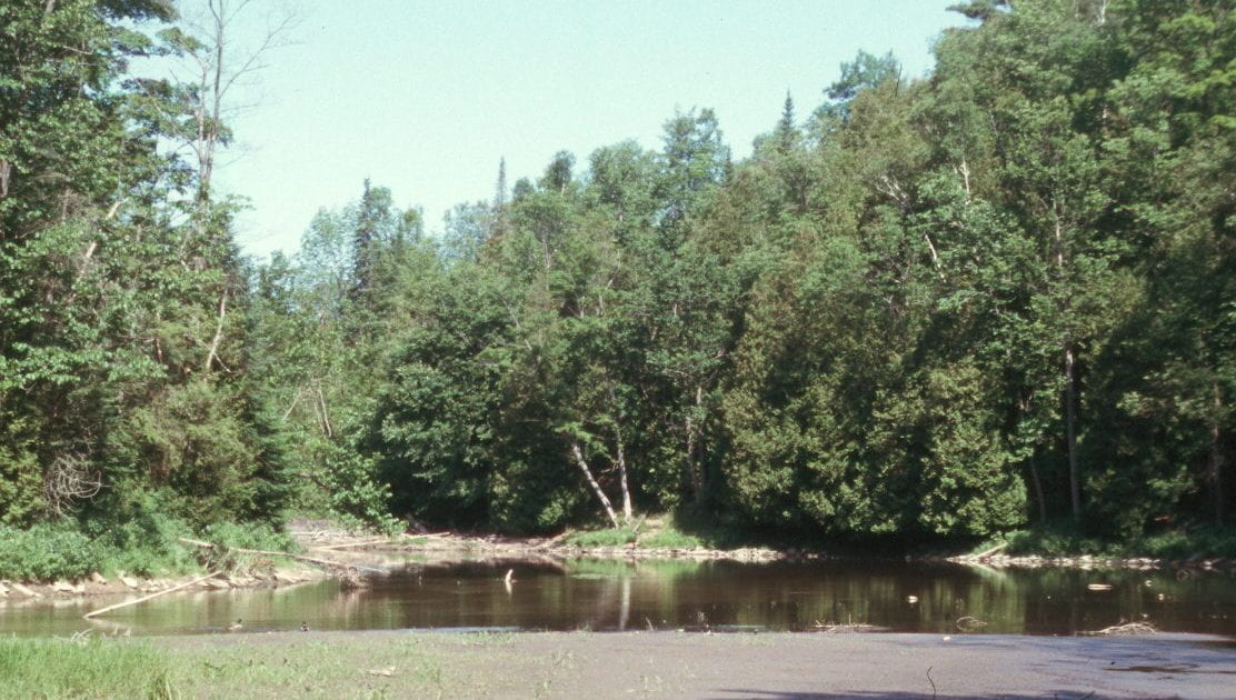 River forground with trees in background.